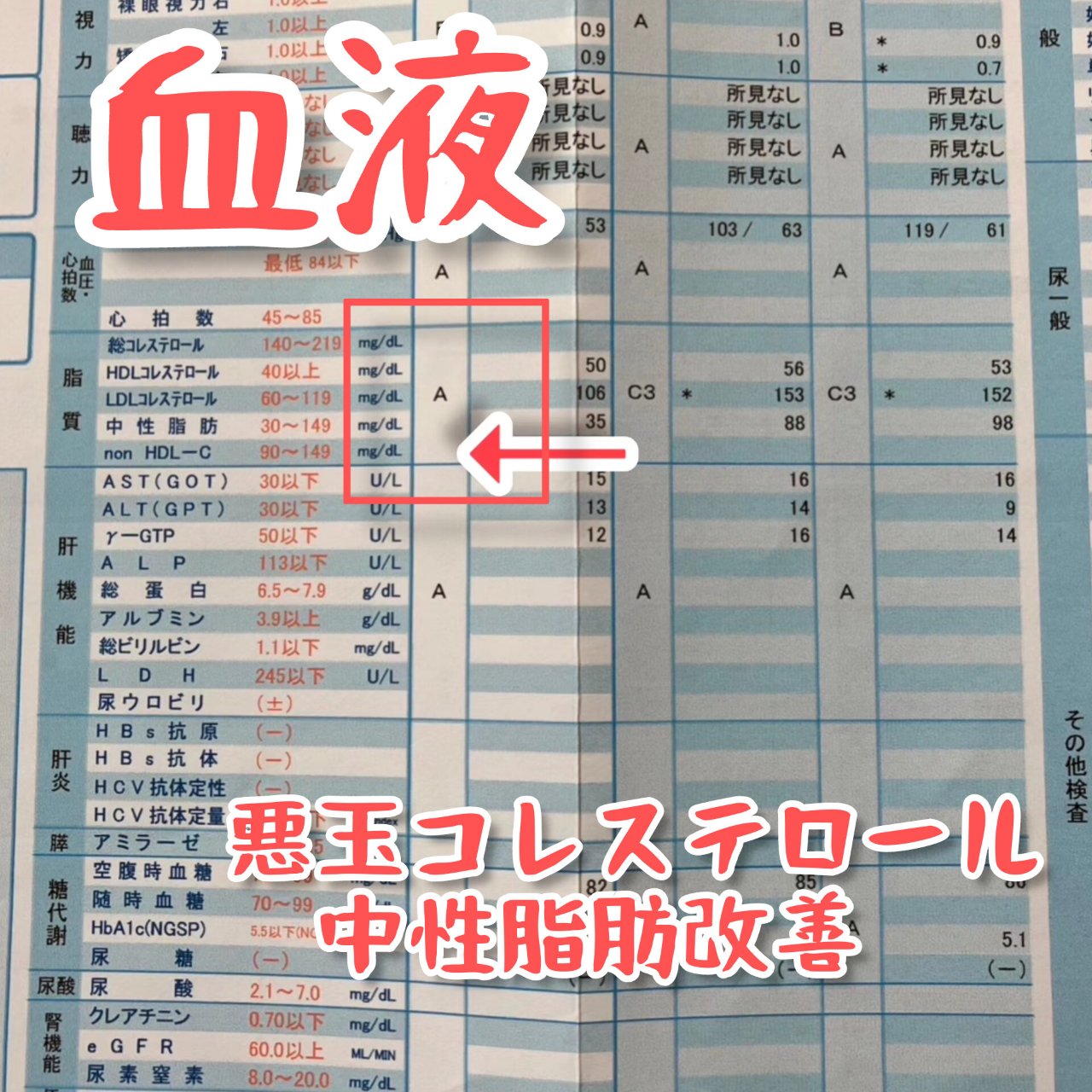 血液改善
